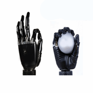 MICROPROCESSOR HAND 1